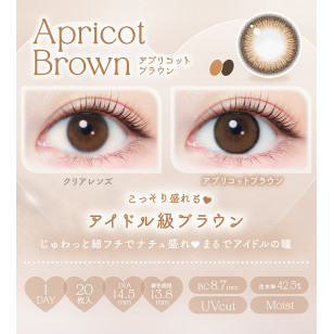 EverColor1day – Natural Apricot Brown 日拋 每盒20片